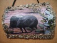 /album/animali/s5005542-jpg/